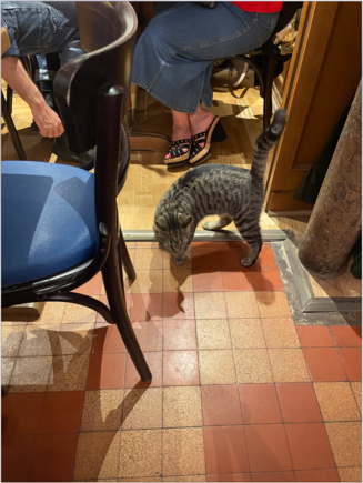 Walk-in turned away at the door. He should've made a reservation...