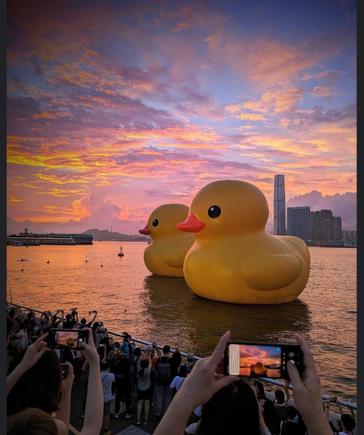 Yeah. Don't ask why...