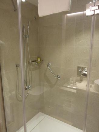 Shower -- no bathtub (as expected of a suite. This is also the only washroom in the room, unlike a regular suite.
