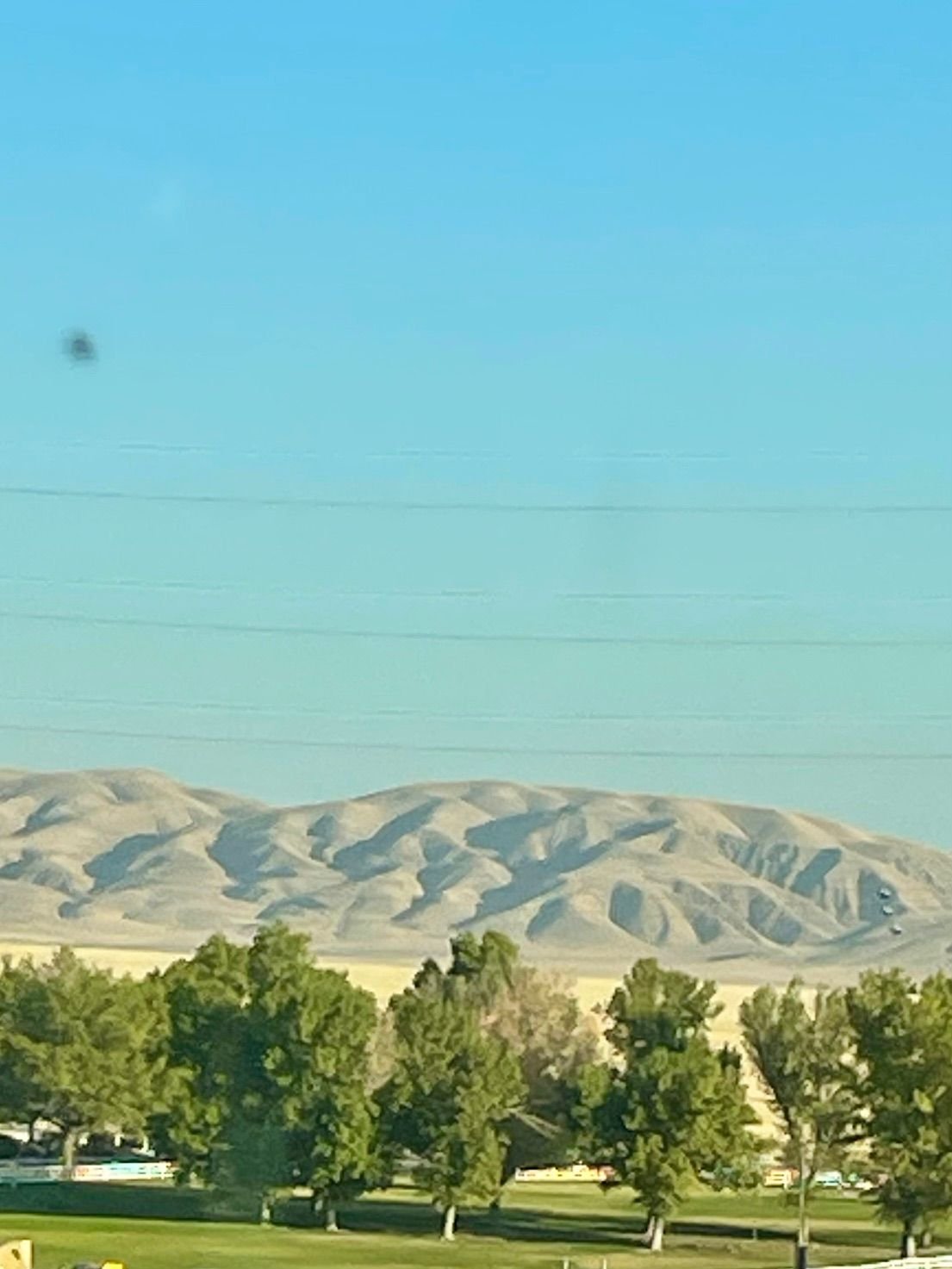 Hills and Trees at the bottom of the Grapevine