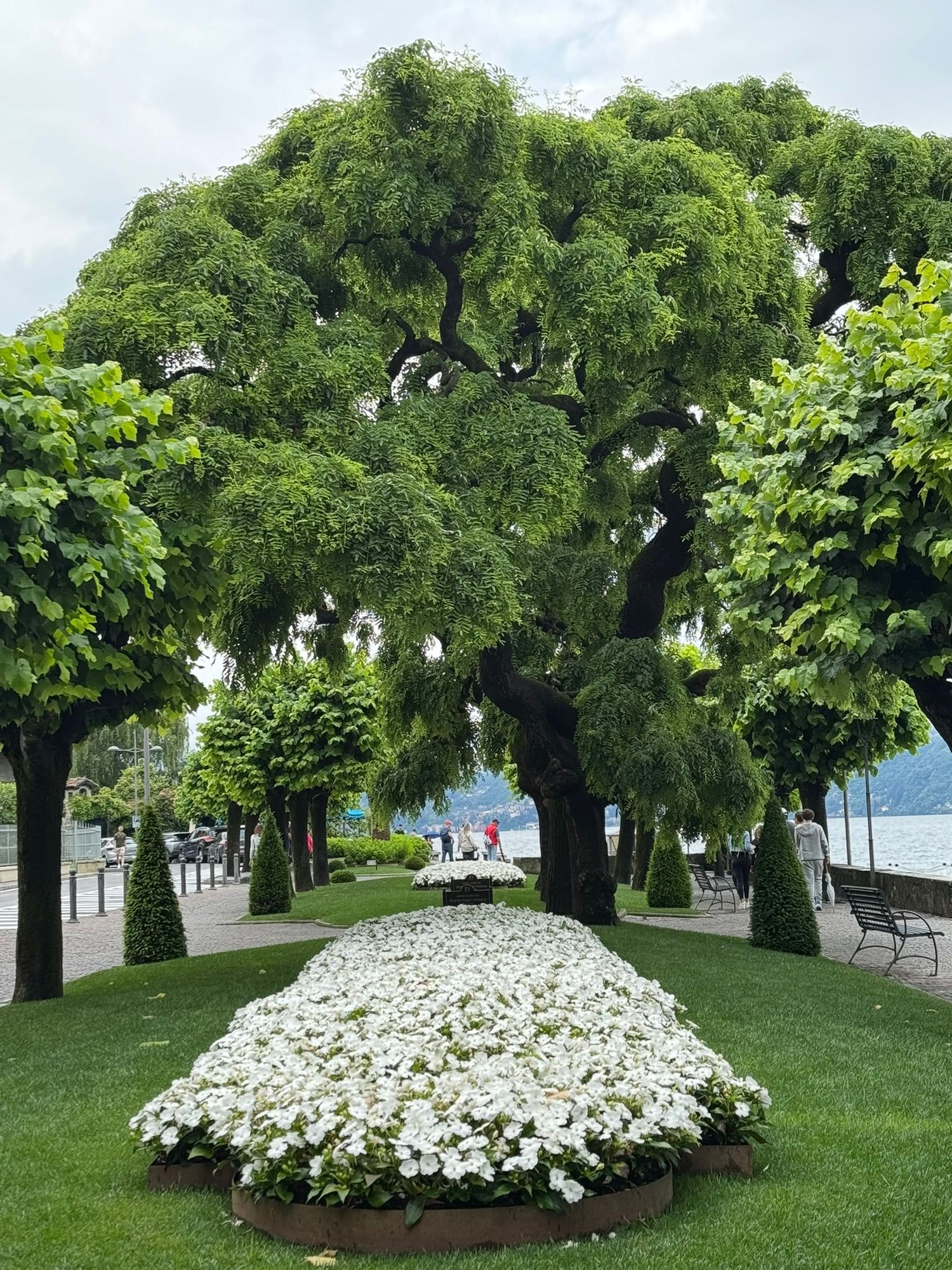 Pretty gardens along the waterfront in Menaggio