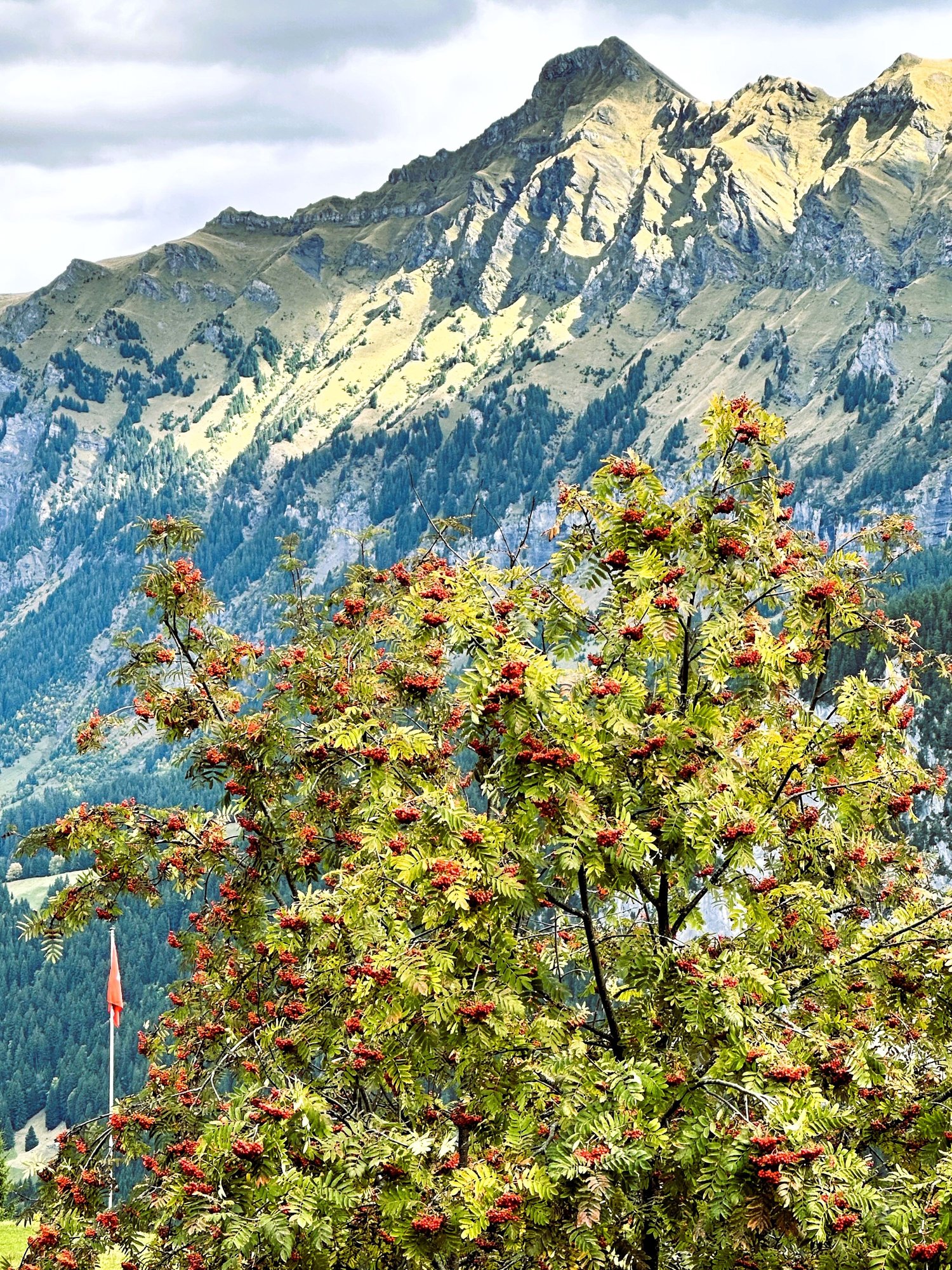 Walking around M�rren 