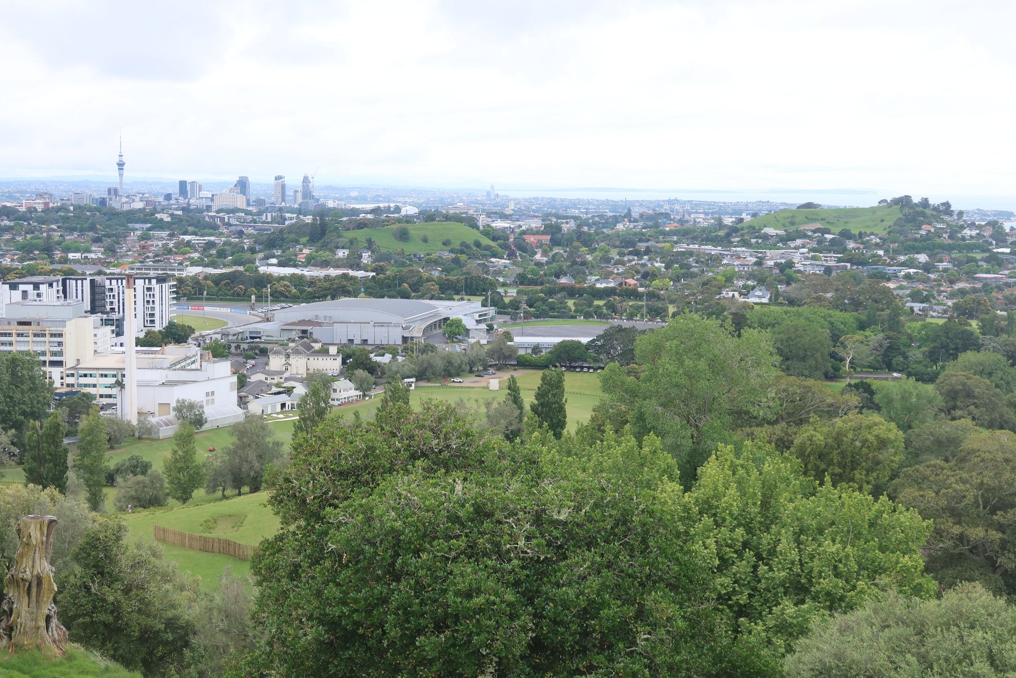 City from One Tree Hill