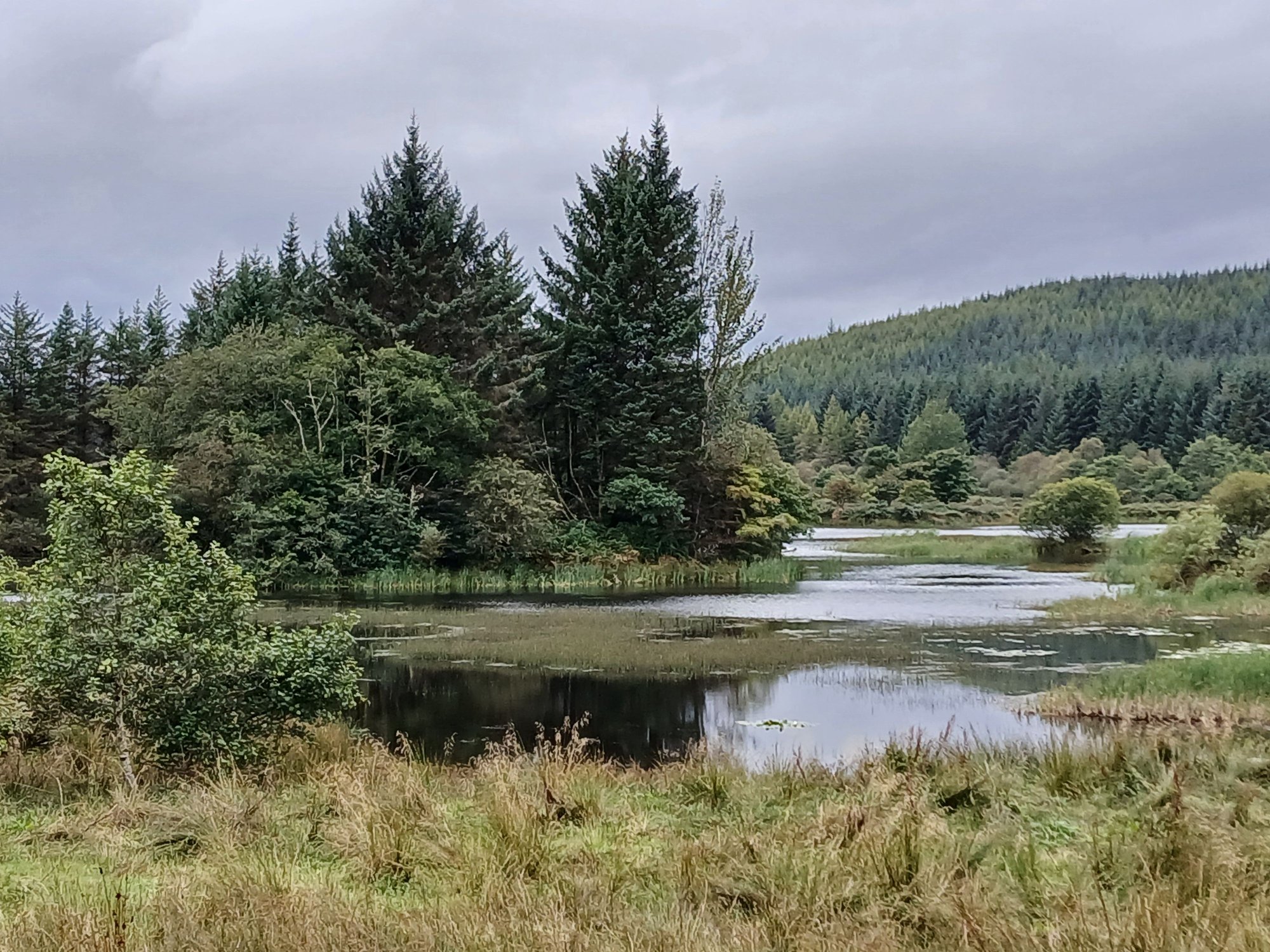 On the long walk to the beach ...