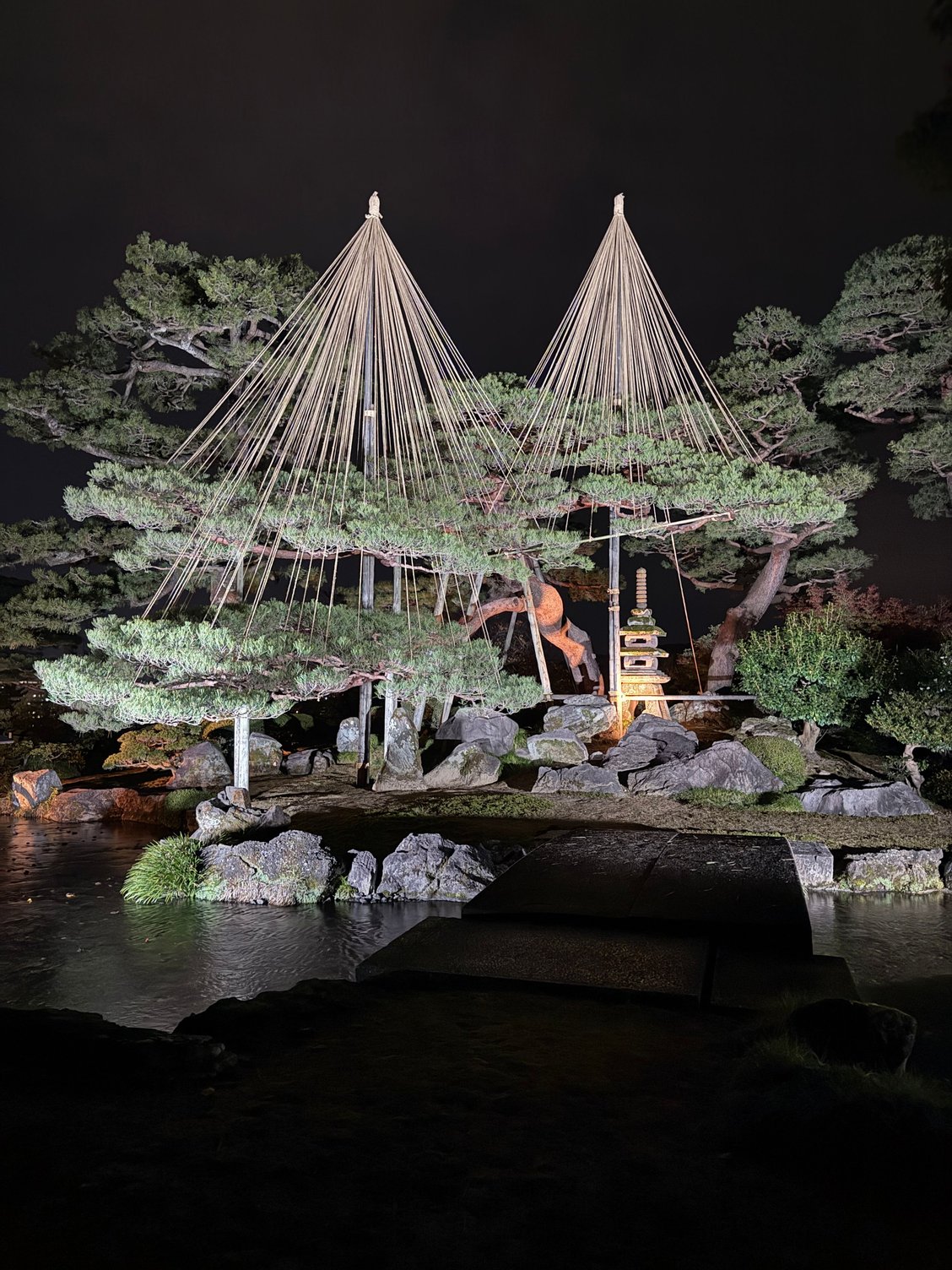 another night time view