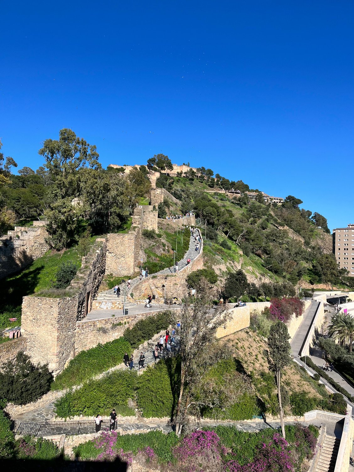 View of Gibralfaro from Alcazaba