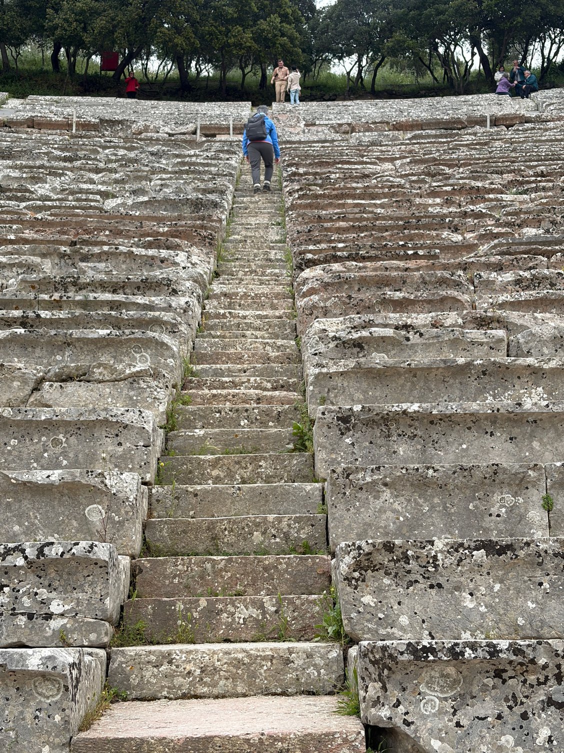 I did climb all the way up to the top