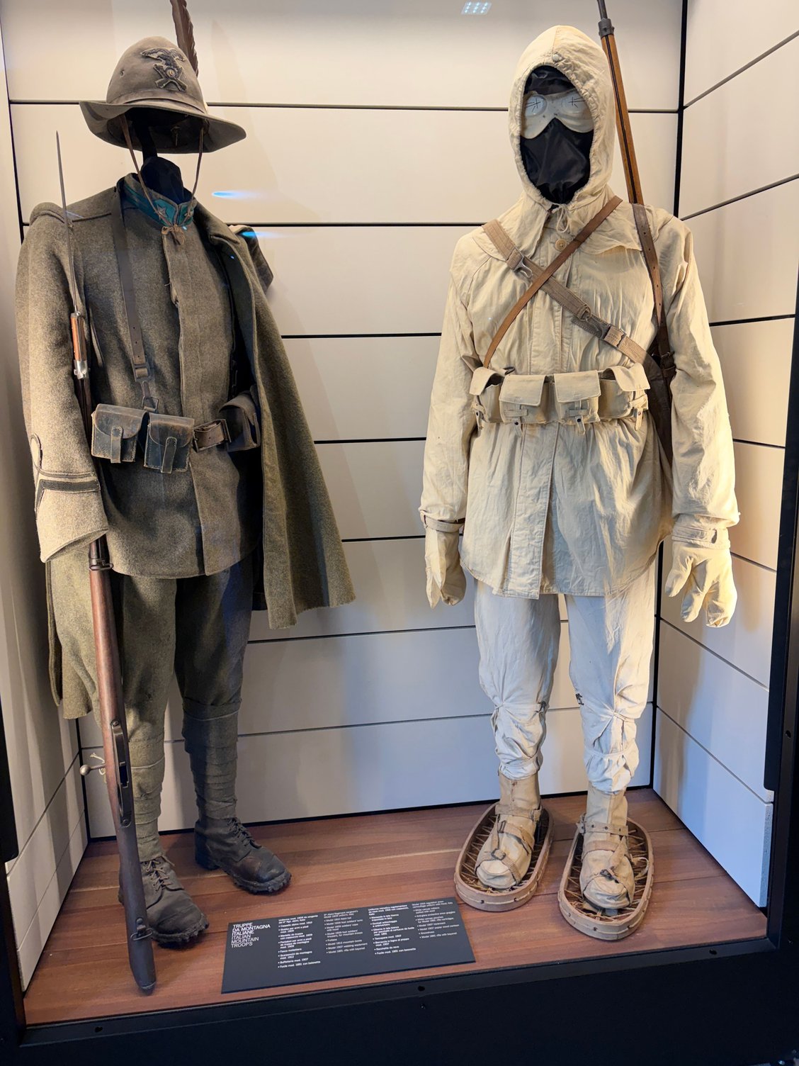 Alpine fighters