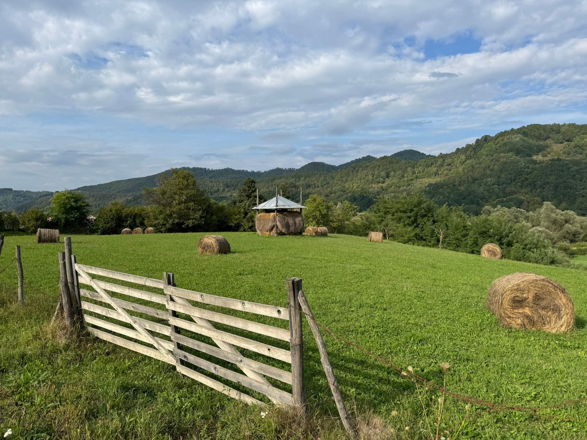 Typical Romanian scenery