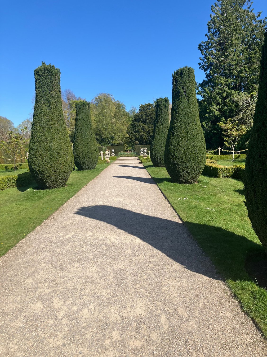 Erdigg - topiary allee - fun shapes!