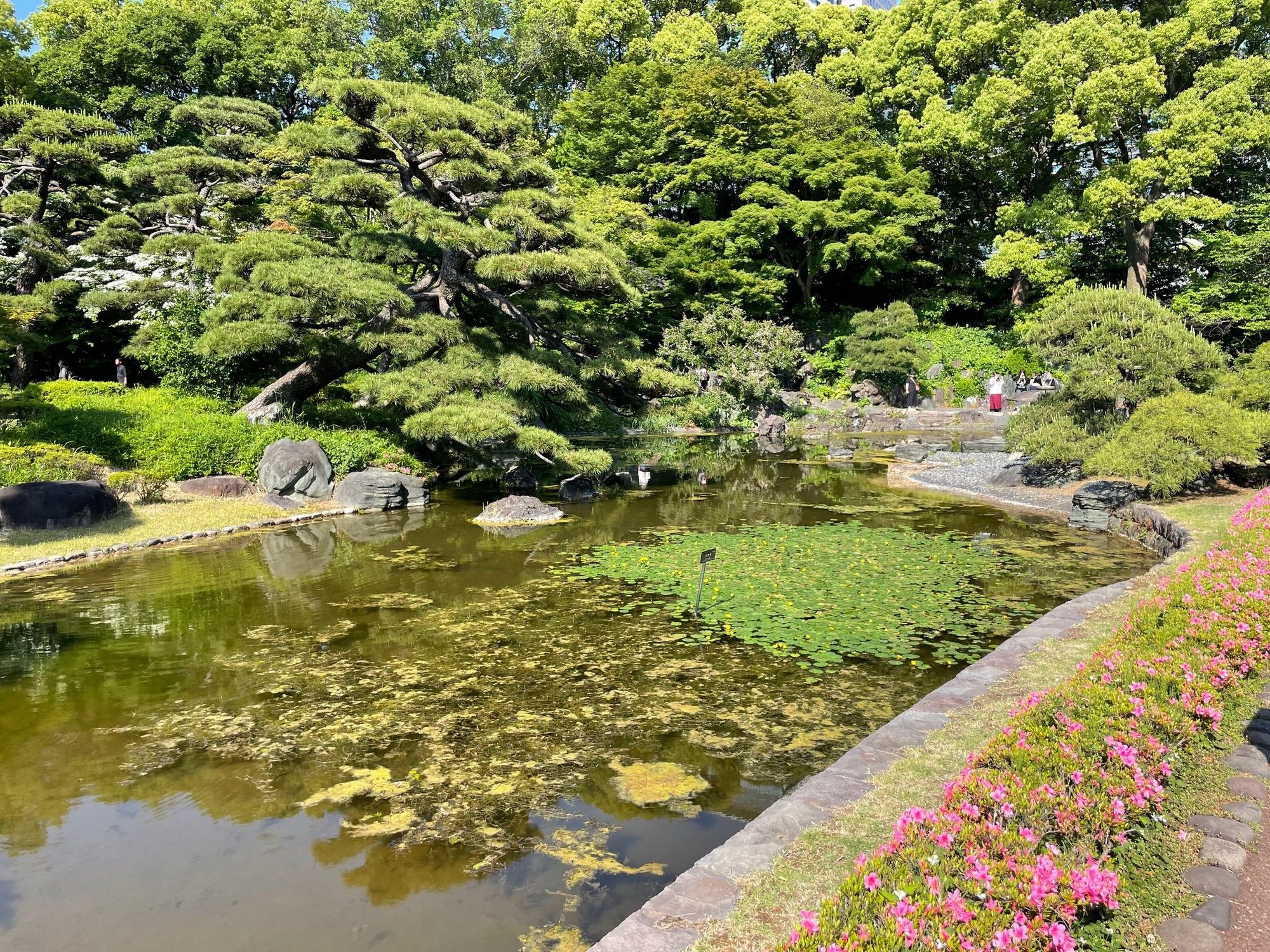 The gardens are huge and there were a lot of open spaces