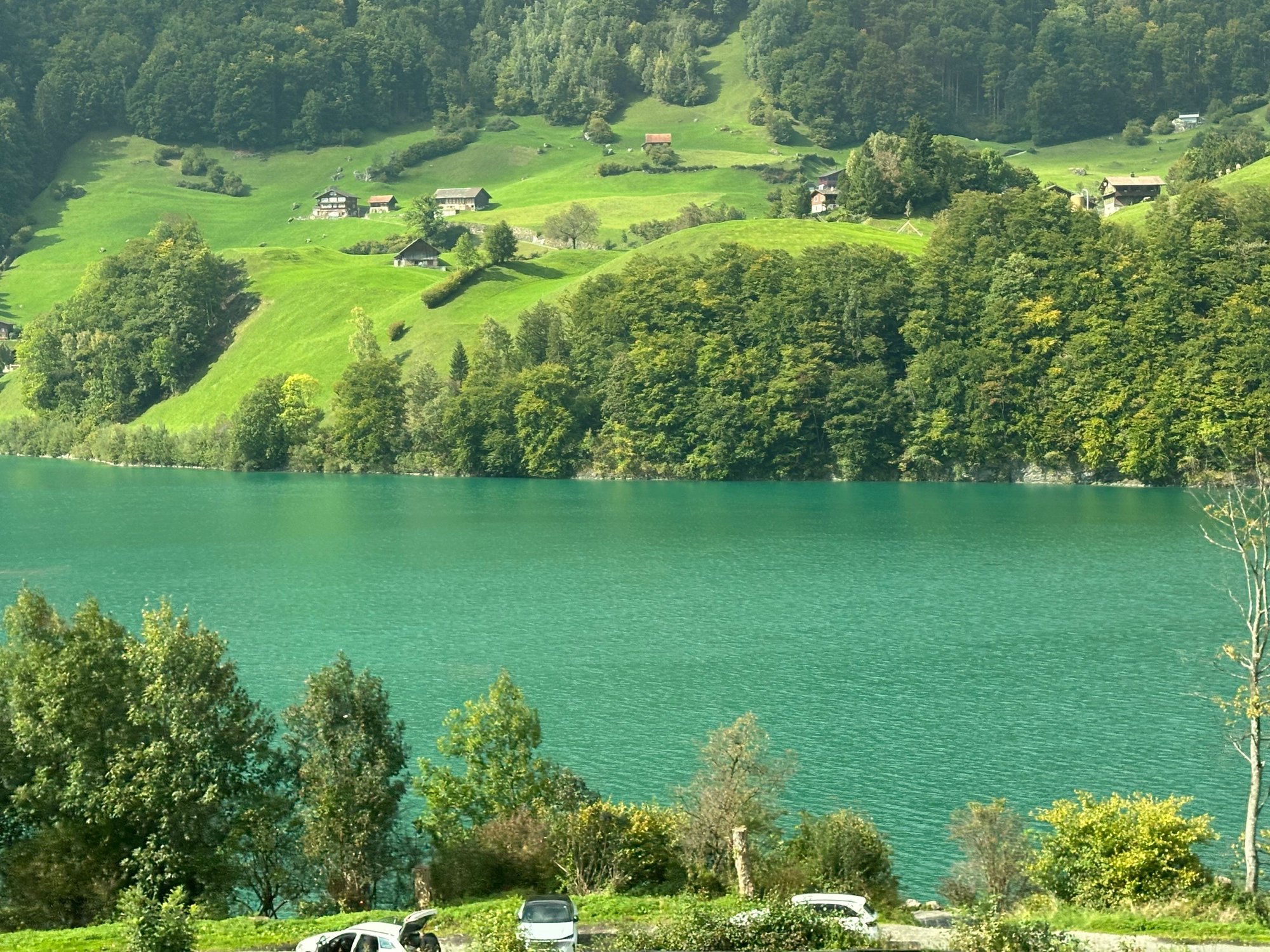 Lake Lungern from the train ride