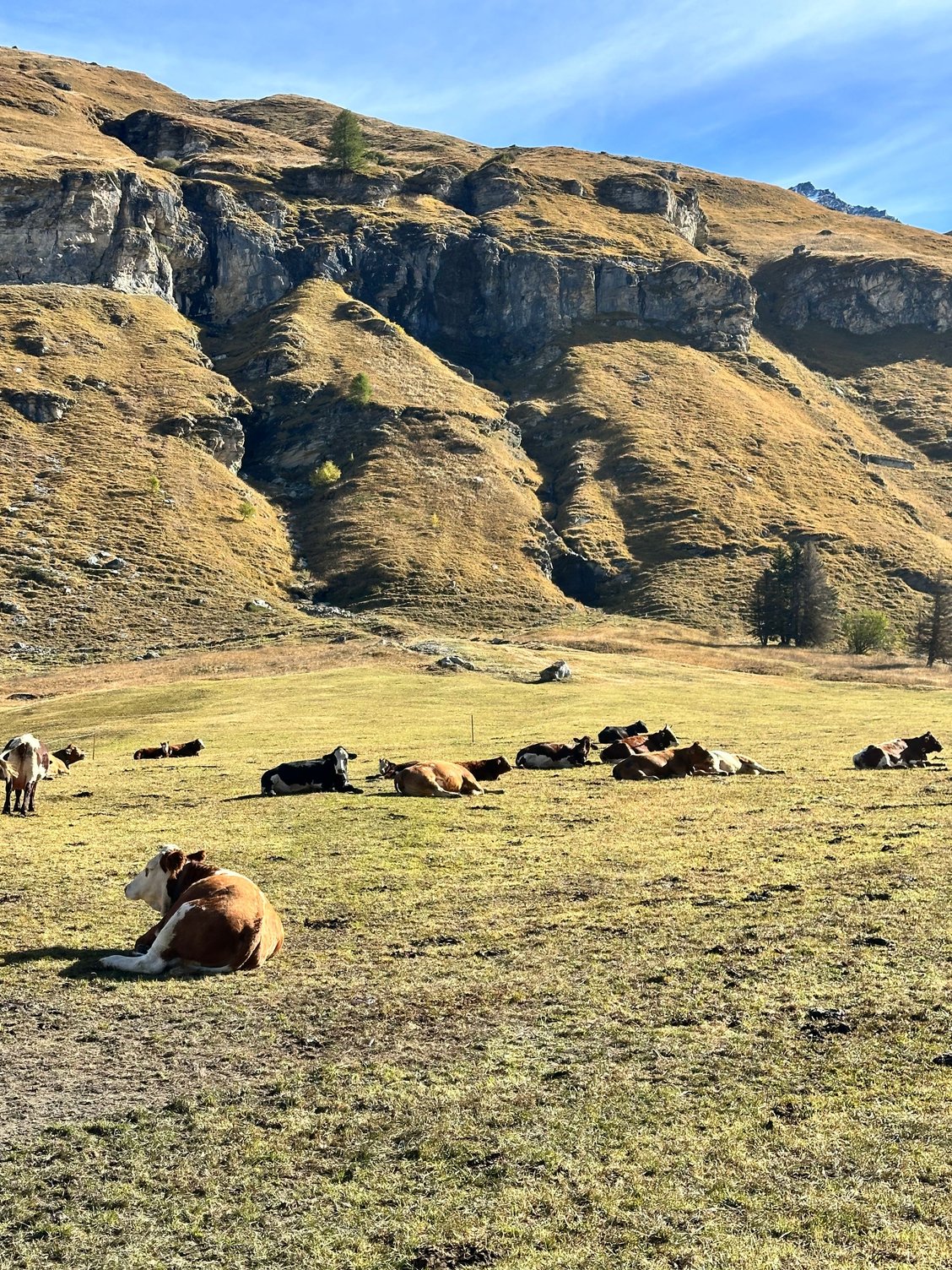 Views during the ride