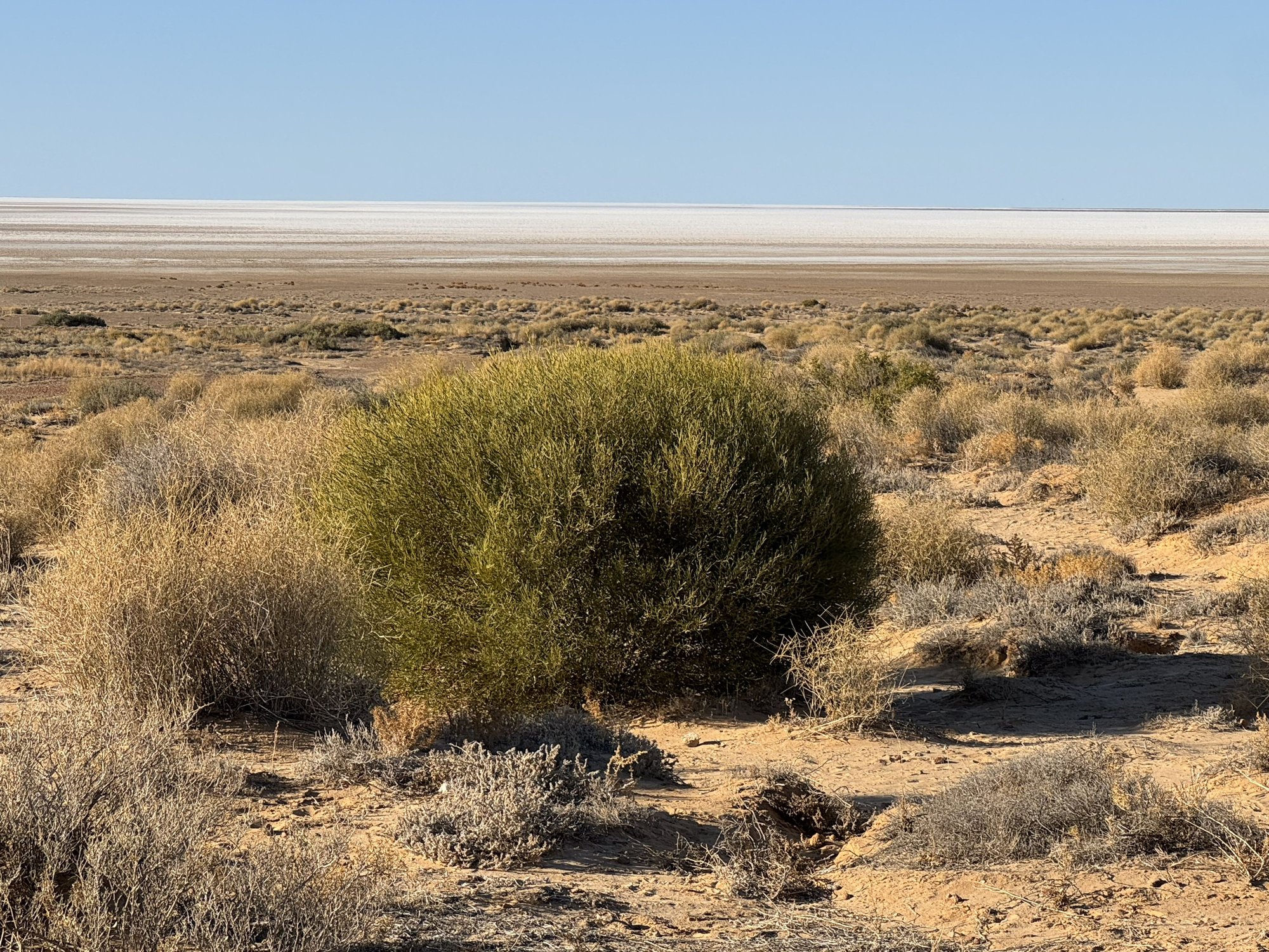 Lake Eyre South from the Oodnadatta Track