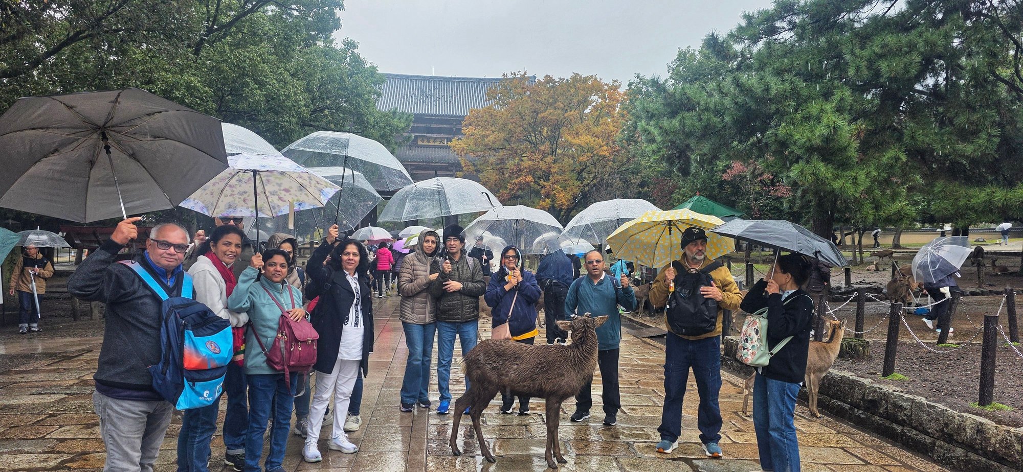 A sweet photo bombing by the dear.