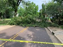 The tree blocking the north access out of our subdivision. There is a downed wire as well. As of an hour ago, it was still lying there.