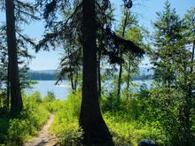 Lowering the stress or trying. 