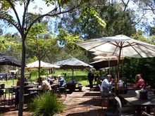 Our lunch in a beer garden