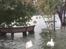 Lake Maggiore in October 2020