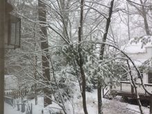 Yesterday’s snowfall 