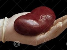 <<if only there were a kidney emoticon...)

 

 

