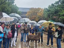 A sweet photo bombing by the dear.