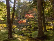 Kokedera Moss Temple