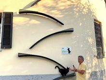 Ultimate cat walk!!!