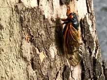 Darn, I’ll have to throw these beauties out