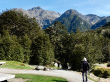 Last full day in NZ, hiking part of the Routeburn Track near Glenorchy.
