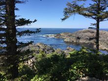 Ucluelet hike