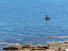 We’ve got a pretty big lake at the end of our street, ziggy, bring your boat over...