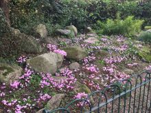 More St Stephen’s Green 