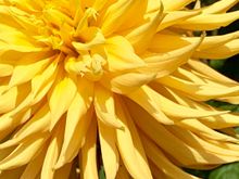 Mendocino Botanical Gardens 