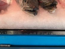 Friends we met in the market