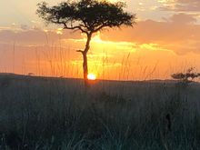 Serengeti sunset