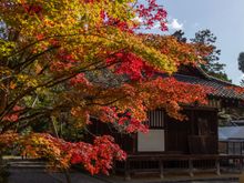 Sekizan-zen-in temple