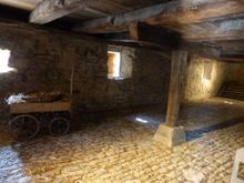 Animals housed on bottom floor of house