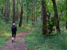Shaw Nature Reserve, peaceful but no birds!