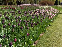 Last year at Longwood