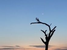 Look at the sliver of the moon. In North America, we see the side. Love that the moon looked like it was smiling!