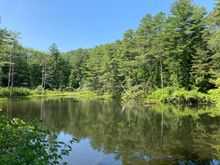 Pleasant Valley Wildlife Sanctuary