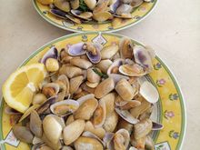 Conquilhas, clams from the Algarve. They have a mild flavor 