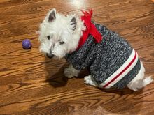 Barry with new sweater