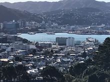 View of Wellington from soccer ground.