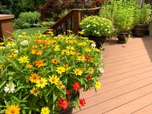 The deck and Joyce’s handiwork 