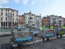 And they *do* keep Venice clean!