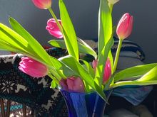 Happy May Day everyone