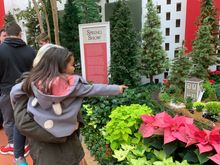 Train and Pointsettia Show at Mo Bot 