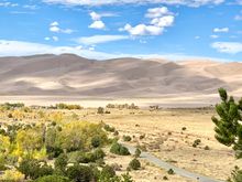 Them be THE Dunes, or at least part of them. The are extensive!